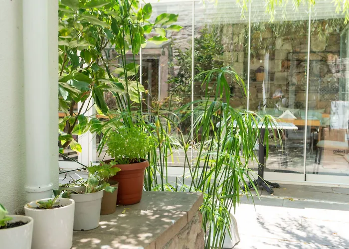 Ξενοδοχείο Cunda Ilios *